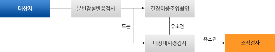 대상자 -> 분변잠혈반응검사, 결장이중조영촬영 또는 대장내시경검사, 유소견시 조직검사